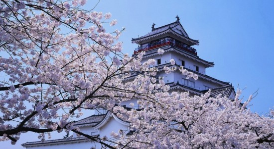高中毕业如何选择日本语言学校