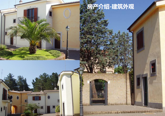 【中锐看房汇报】意大利置业移民如何办理？